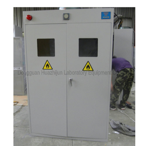Gas Storage Cabinet Company | Gas Storage Cabinet Supplier | Gas Storage Cabinet Price