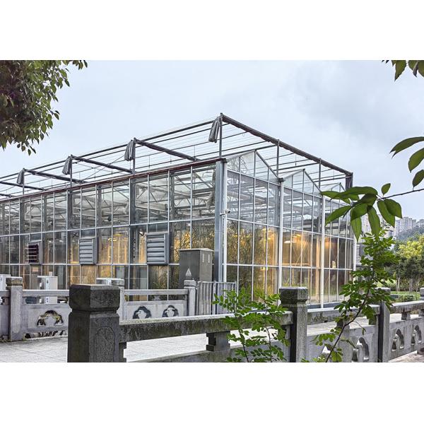 Ultra-Transparent, Sturdy Galvanized VENLO Glass Greenhouses - Ideal For High-Value Flower Cultivation