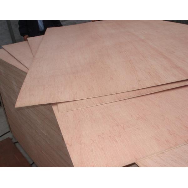 Packing grade plywood, plywood for packing use, cheap commercial plywood, poplar core plywood
