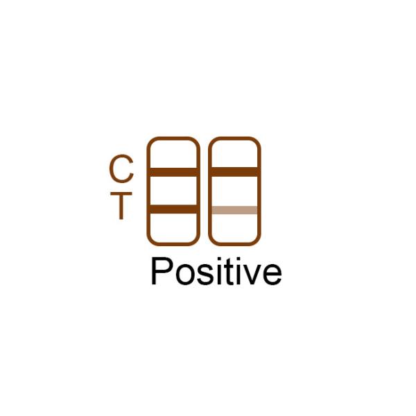 SARS-CoV-2 Antigen Test Kit Swab Green Spring 1 Tests/Kit CE For Nasal Swab