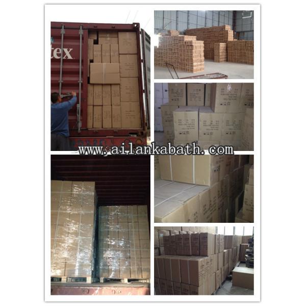 Sanitary Ware Bathroom Washdown Two piece Toilet with 10cm/4inch diameter outlet Ceramic Toilets