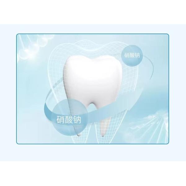 Moth Proofing Oral Hygiene Tool Basic Cleaning Oral Refreshing Whitening