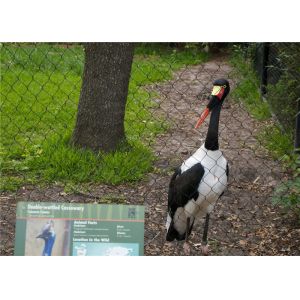 Flexible Stainless Steel Wire Rope Mesh 304L 5mm Aviary Bird Mesh Balustrade