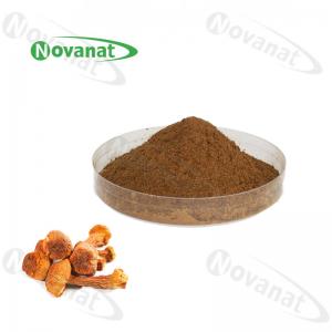 Cheap agaricus blazei extract Herbal Extract Powder 40% Polysaccharides / Immunity Improving wholesale