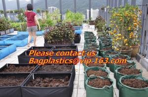 Cheap vegetables, fruits, seeds, bedding plants, tomatoes, peppers, cucumbers, tree starters wholesale