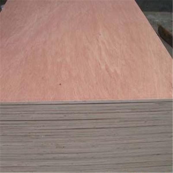 Bintangor Face Back Eucalyptus Core 5 ply Bintangor Plywood