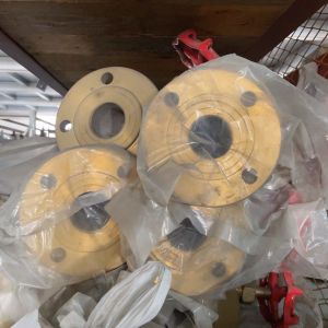 China 300LB 32NPS Copper Nickel Blind Flange For Chemical Industry on sale