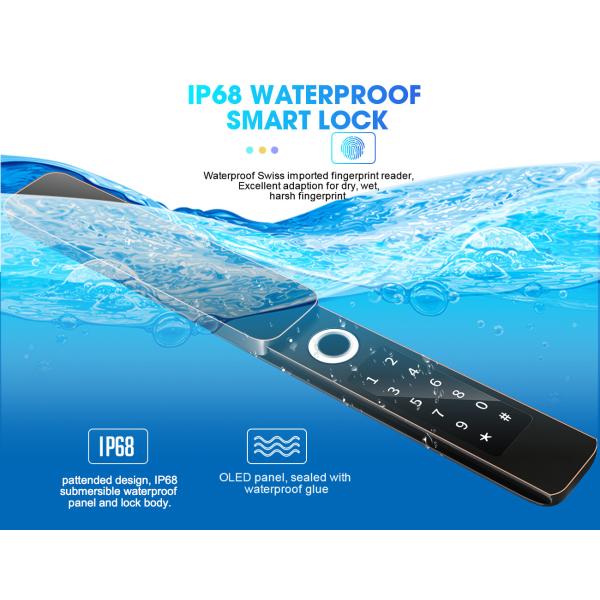 Keyless Waterproof Outdoor Vila Gates Fingerprint Door Locks