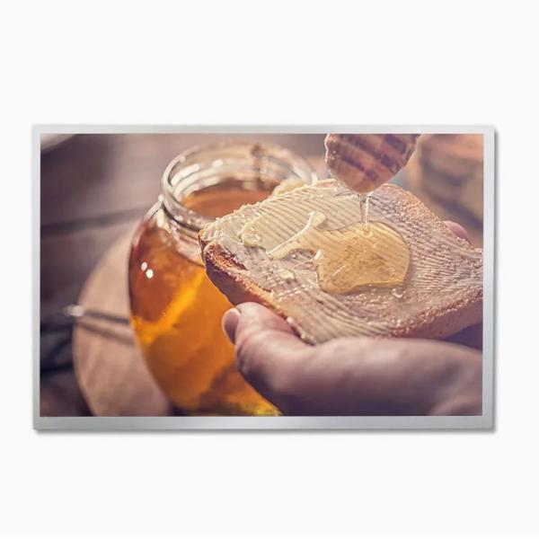 10.1 Inch LCD Module for Car Liquid Crystal Display 1024*600 Panel LCD Lvds Interface Display LCD