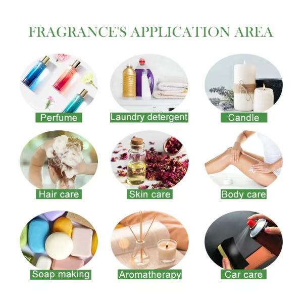 Fresh Plum Beverage Flavors Butter Flavor For Making Beverage