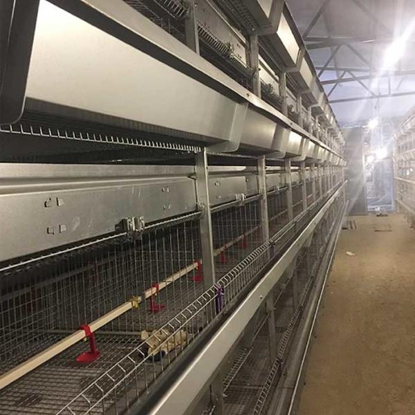 Rigid Q235 Steel Baby Chick Cage Multi Doors High Performance For Farm