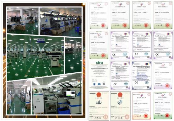 High Accuracy Special Chip Mounter High Accuracy Special Chip Mounter