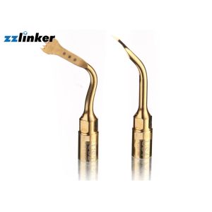 Home Dental Ultrasonic Scaler , Ultrasonic Tips Dental Hygiene Gold Plated