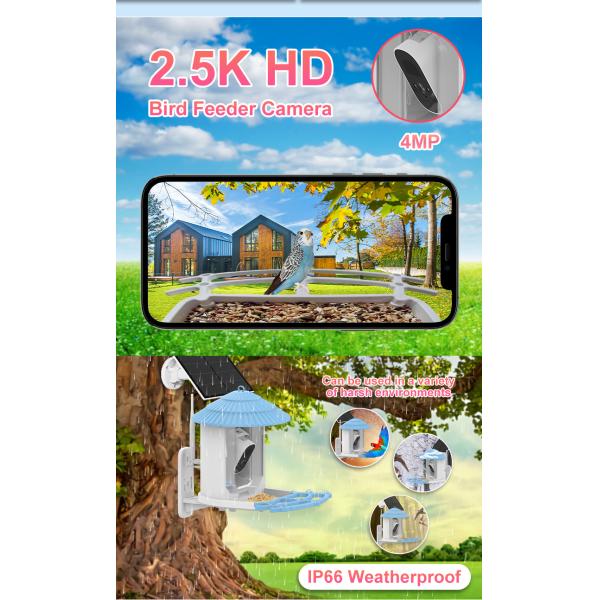 IP66 Waterproof 4MP Smart Bird Feeder 2.5L Wildlife Smart Bird Camera