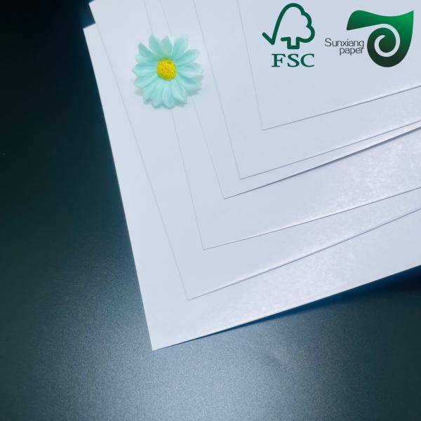 FSC C2S Double sided coated Glossy White Art Paper 180gsm 200gsm Ideal For Catalog Printing