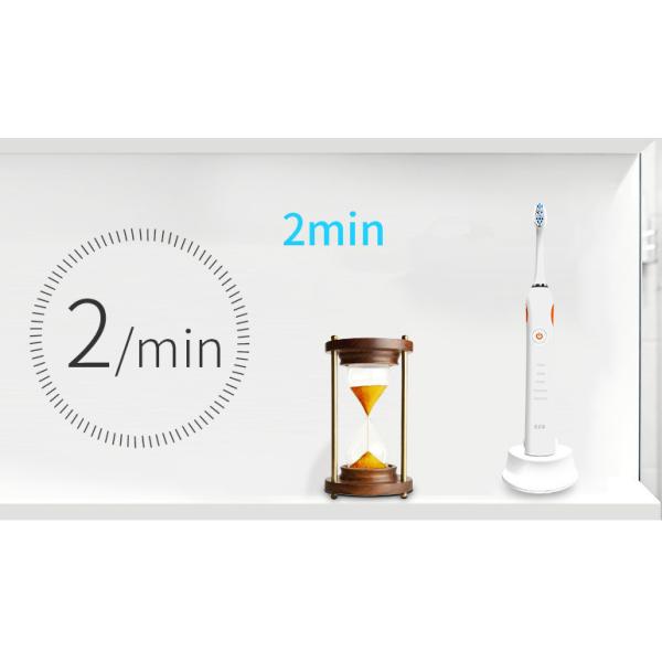 Sonic Waterproof Tooth Whitening Electric Toothbrush With Brush Head Replacement Teeth Whitener Cleaning Oral Hygiene