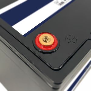 Marine Boat Battery 24V 50AH LiFePO4 Lithium Battery With BT