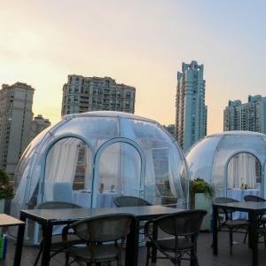 Cheap Transparent Clear PC 6m Geodesic Dome House Igloo With Aluminum Frame wholesale