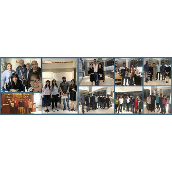 Modular Design Solid Wood Storage Cabinet For Home Furniture ECO Friendly Kitchen Cabinet