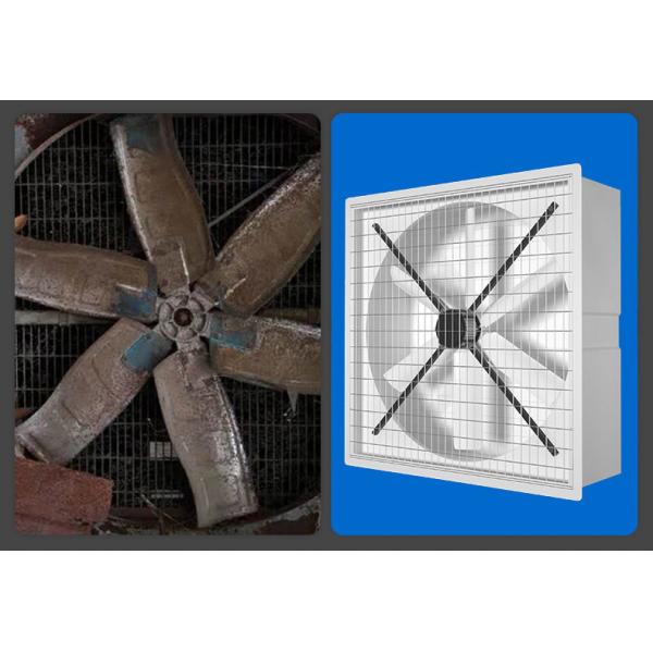 DHF FRP industrial greenhouse big size factory exhaust fan for industrial use workshop exhaust fans ventilation fan