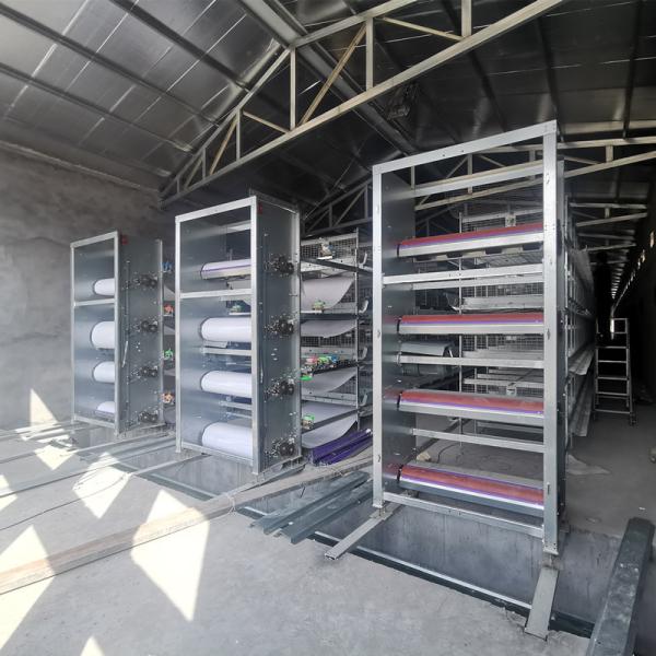 H Type Fully Automatic Battery Chicken Cage System Egg Layer Poultry Farming Equipment