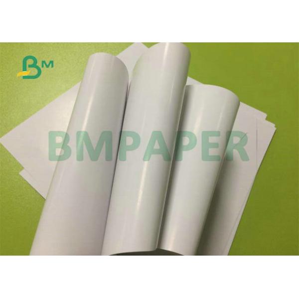 12PT 14PT 16PT High Glossy White Coated C2S Cover Sheet For Offset Printing 24 x 36inch  12PT 14PT 16PT High Glossy White Coated C2S Cover Sheet For Offset Printing 24 x 36inch