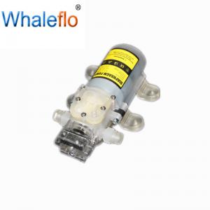 China Whaleflo 12V DC 4.2LPM  Water Pump with Switch Diaphragm Pump Self Priming Pump 70W Food Grade Water Pump on sale