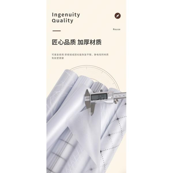 Office Decoration PVC 3D Decorative Window Film/3D Glass Vinyl Film/Frosted 3D Sticker in CLASSIC Style with 3D Design