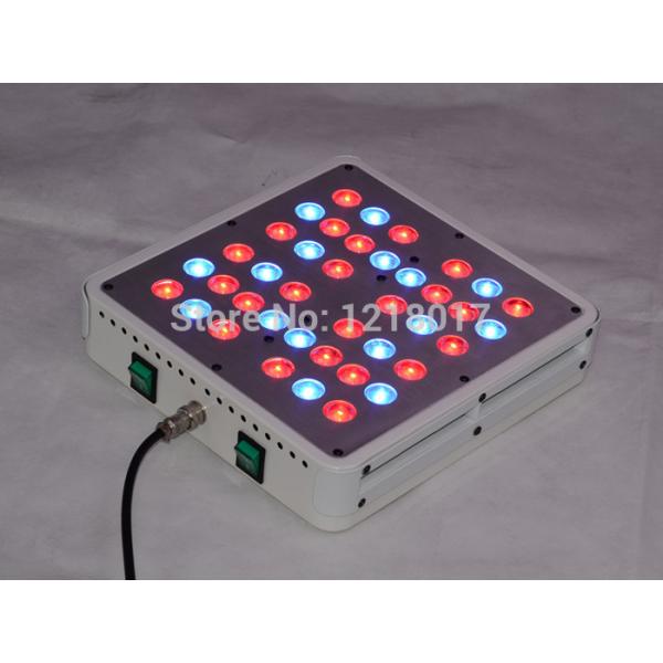 Best Selling Product In American wholesale hydroponics led grow light 5w chip