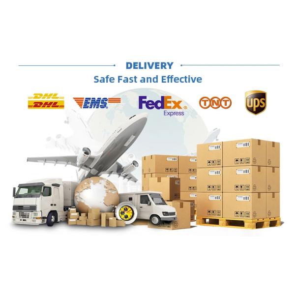 Yonker Hot Sale Ultrasound Machine Farm Use Vet Ultrasound Machine Portable Vet Veterinary Ultrasound Equipment