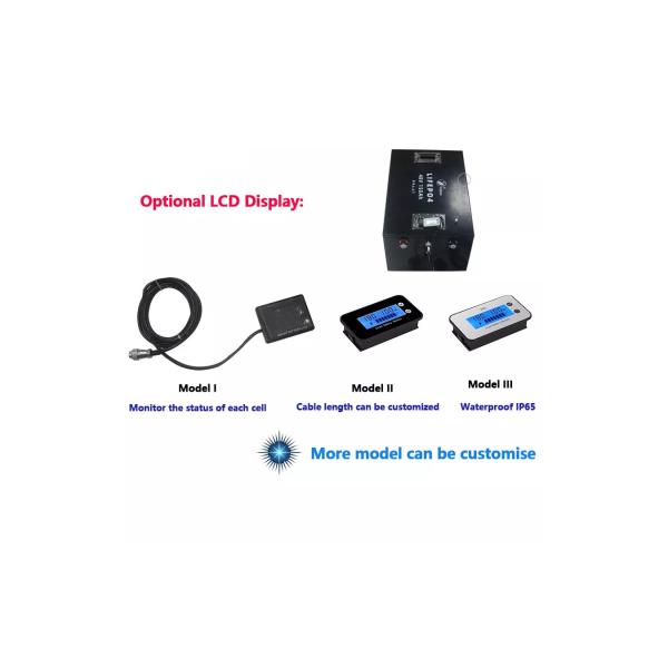 60ah 100ah 200ah Lifepo4 Golf Cart Battery Pack 48V Deep Cycle With BMS