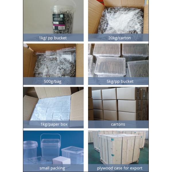 A4 Stainless Steel Plastic Head Nails