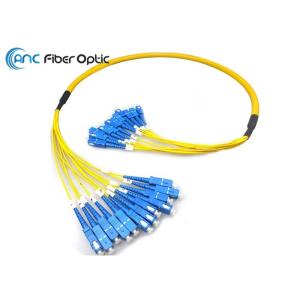 Cheap 12F 24F Fiber Optic Patch Cord wholesale