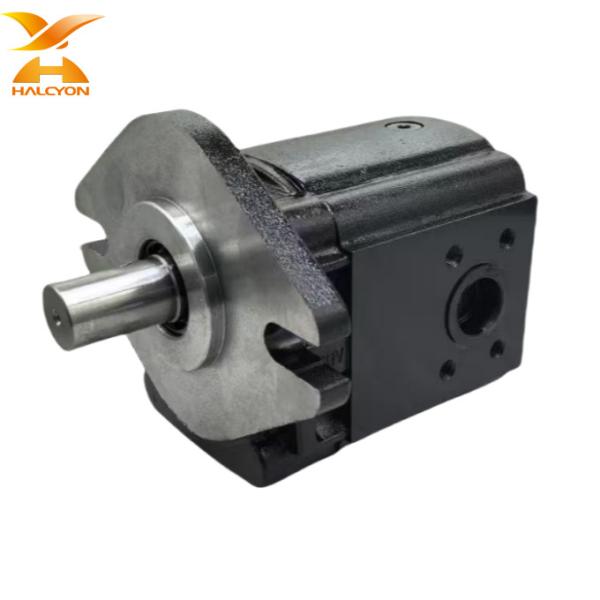 Customizable Excavator Gear Pump CBF- F690-AFP Gear Pump For Shimadzu Rexroth Kubota Kobelco