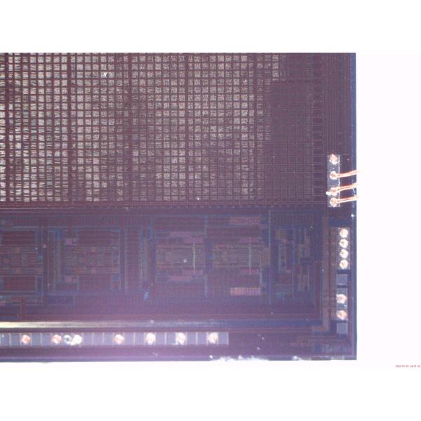 Optical DM042 Hdmi Digital Microscope For Electronics Repair 1200x Magnification