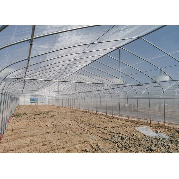 UV Stabilized Single Span Greenhouse Galvanized Tubes Long Lasting Shelter for Aquaculture