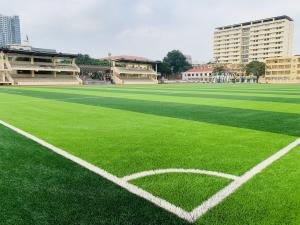 Cheap Artificial Football Grass Synthetic Turf For Soccer Field Floor Artificial Grass wholesale
