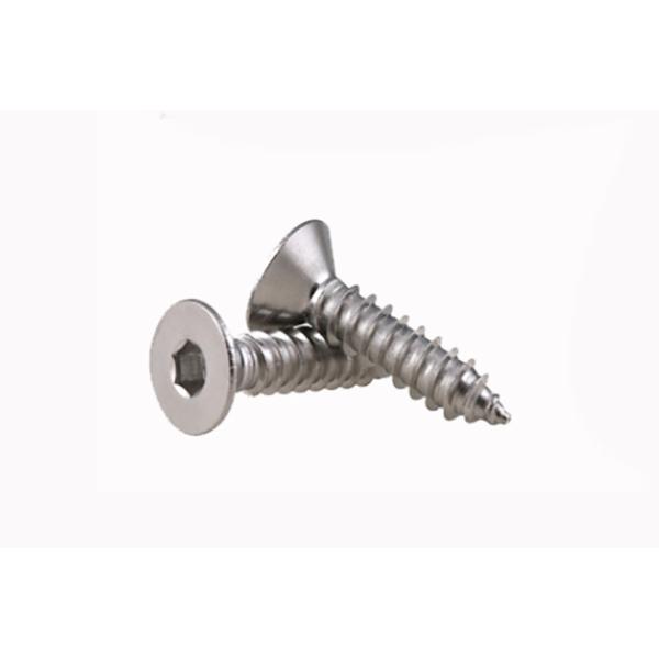 DIN EN ISO 14586 SUS304 Plum Blossom Screw Countersunk Head Tapping Screw