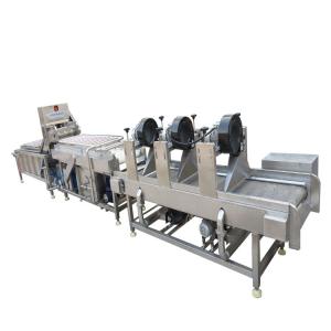 Cheap Fully Automatic Fruit And Vegetable Processing Machinery 300-1000kg/h wholesale