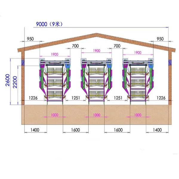 Hot Dipped Galvanized Chicken Farm Cage 5 Layers / Cell