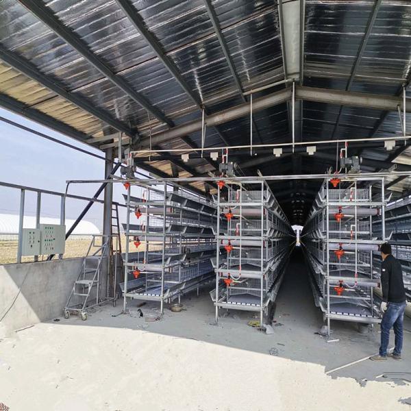 Egg Chicken Poultry Farm 3 Tiers 4 Tiers H Type Automatic Battery System Chicken Layer Cage