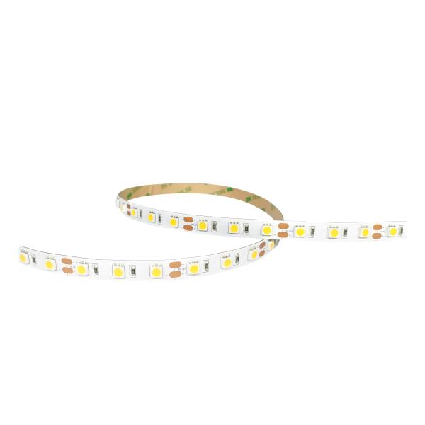 Outdoor 12V 24V SMD 5050 LED Strip Light With Silicon Rubber Tube