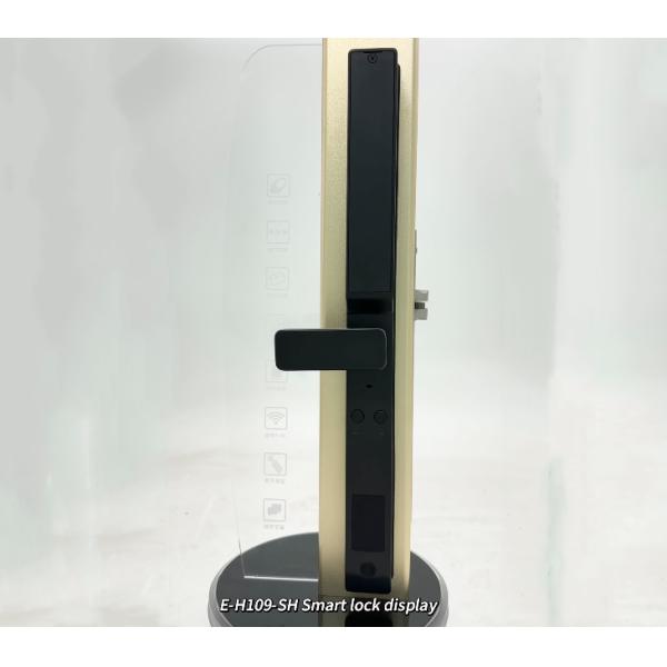 ELA New Automatic Waterproof Smart Door Lock 3D Face Recognition Fingerprint Smart Password Lock E-H109-SH