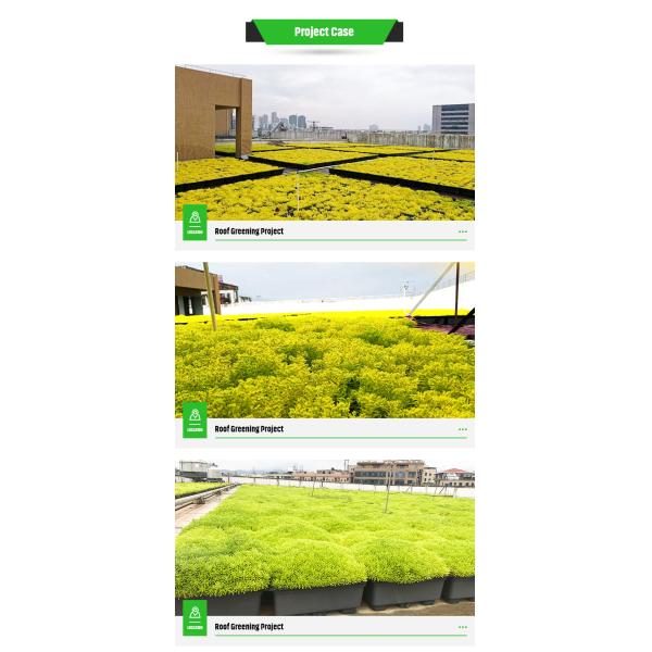 Extra Large Drip Tray for Garden Decoration 4 Square Units Plant Containers Accessory