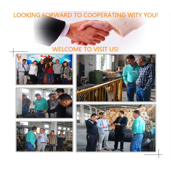 Galvanized Steel Wire Rope Sling with 8.0mm Diameter and 600mm Length for Precast Concrete Lifting