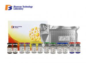 Cheap GABA-B Gamma Aminobutyric Acid B ELISA Kit 96 Wells / 48 Wells 1.05μG/Dl Sensitivity wholesale