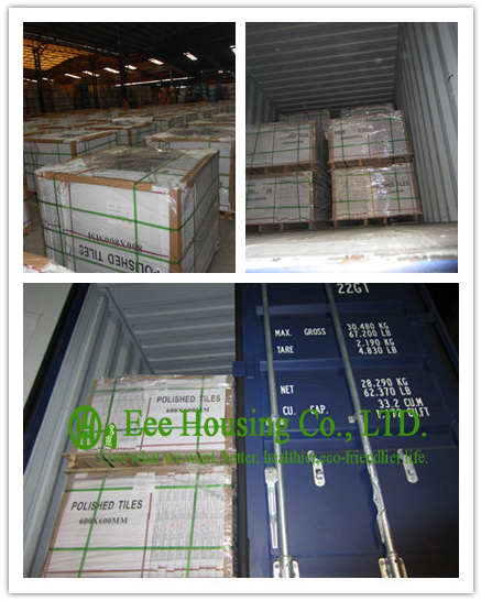 Polished Or Matt Surface Porcelain Tile For Floor / Wall Decoration, 80*80cm Or 60*60cm