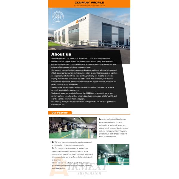 2018+ Crown S220 Toyota Air Suspension Air Spring Strut Brand New