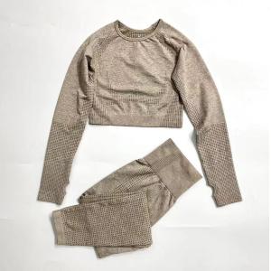 Seamless Knitting Women Activewear Sets 260gsm 2 Piece Yoga Sets