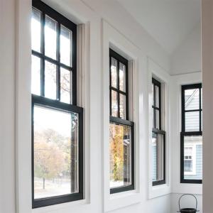 Vertical Sliding Tempered Glass Double Hung Windows With Stainless Steel Screen